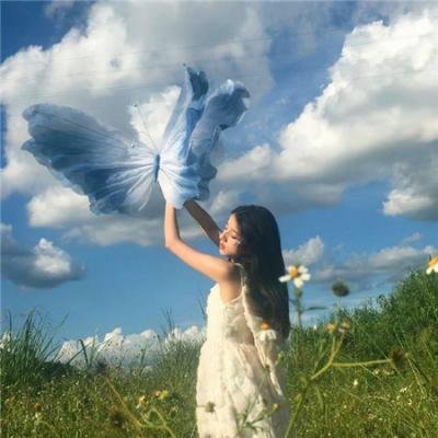 九彩霸王花粤语